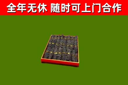 芦淞回收海参